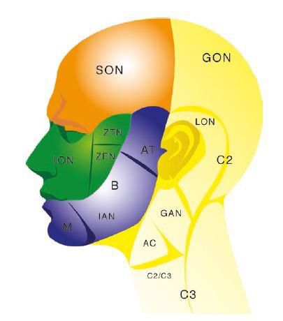 Tension headache (TH) 2 фото Tension headache (TH) 1 Тернопіль